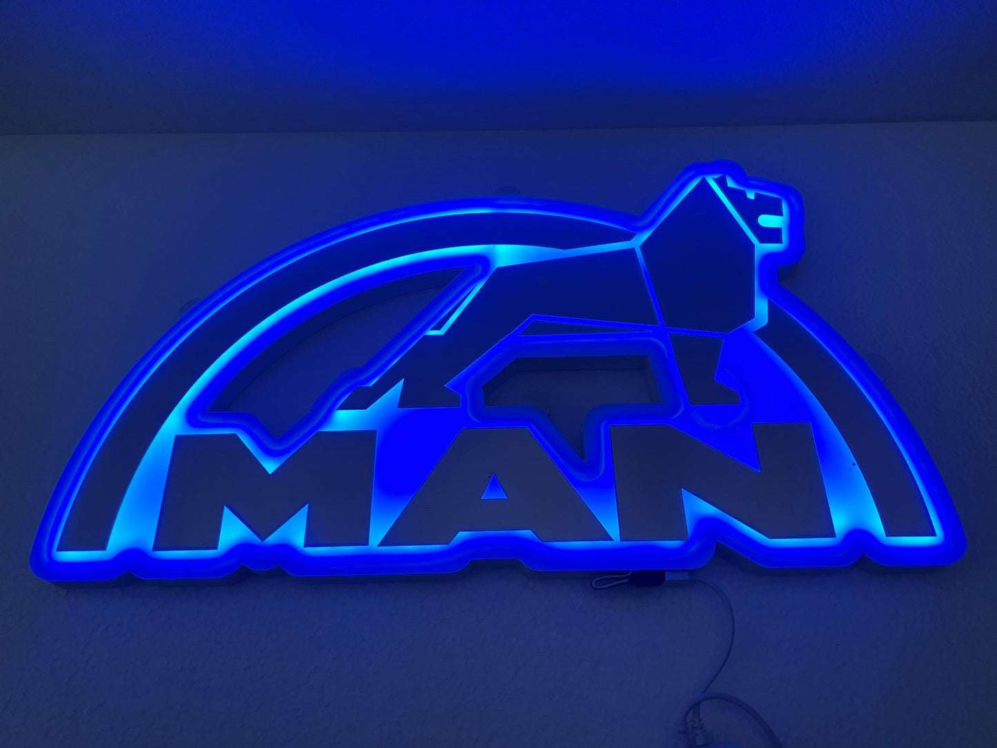 MAN cabine verlichting LED klein