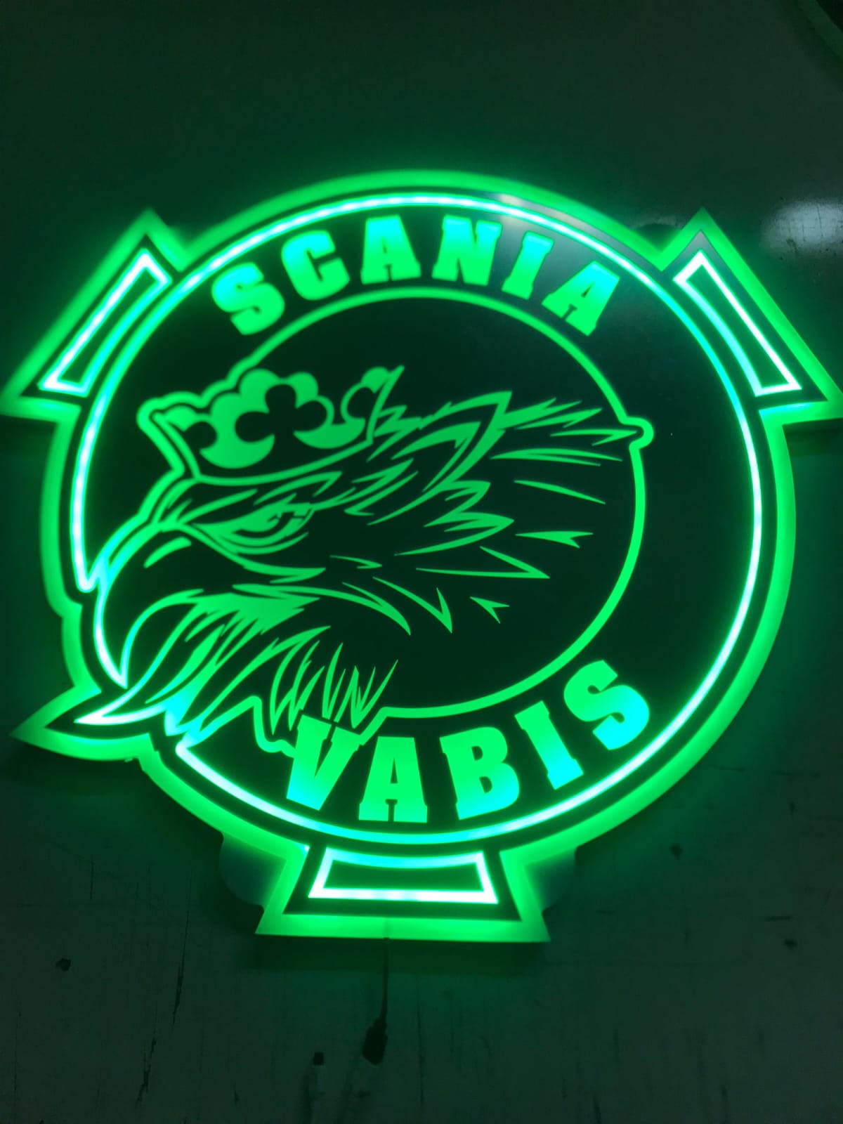 Scania Vabis griffin cabin lighting LED