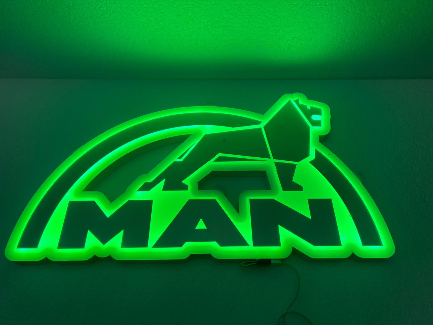 MAN cabine verlichting LED klein