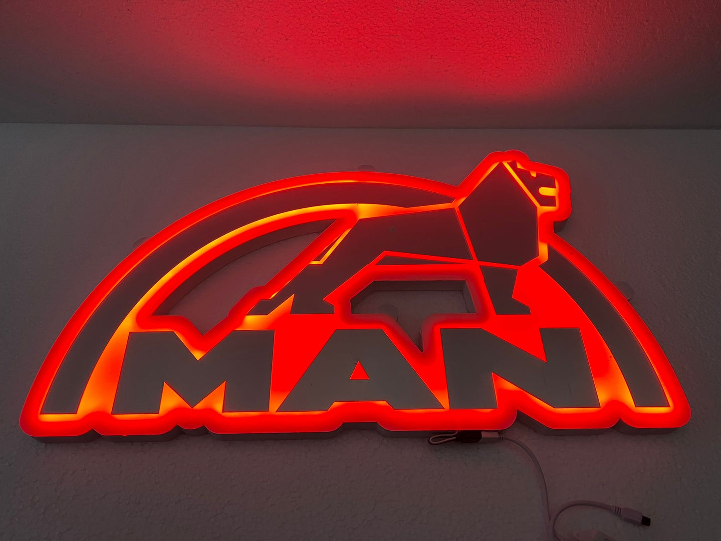 MAN cabine verlichting LED klein